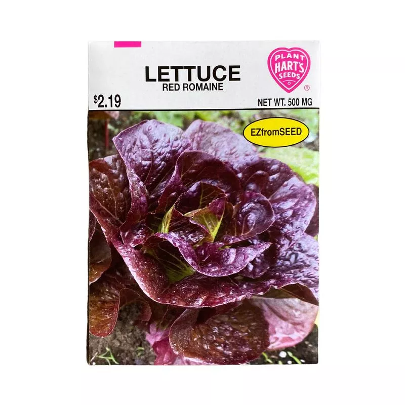 lettuce-red-romaine Lettuce, Red Romaine
