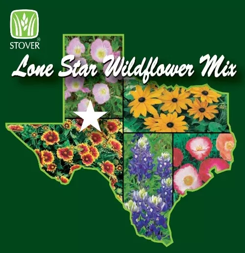 lone-star-wildflower-mixture Lone Star Wildflower Mixture