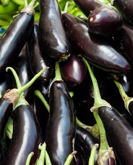 long-purple-fingerling-eggplant Long Purple Fingerling Eggplant