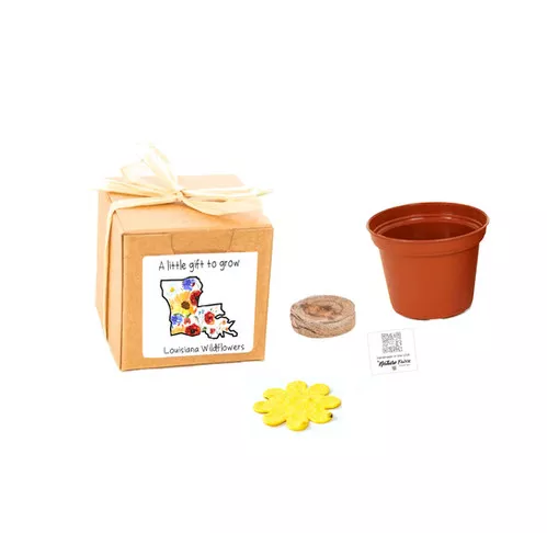 louisiana-gift-box-grow-kits-wildflower-seeds-by-nature-favors Louisiana Gift Box Grow Kits™ Wildflower Seeds by Nature Favors™