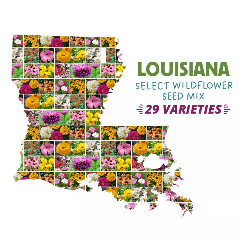 louisiana-select-wildflower-seed-mix Louisiana Select Wildflower Seed Mix