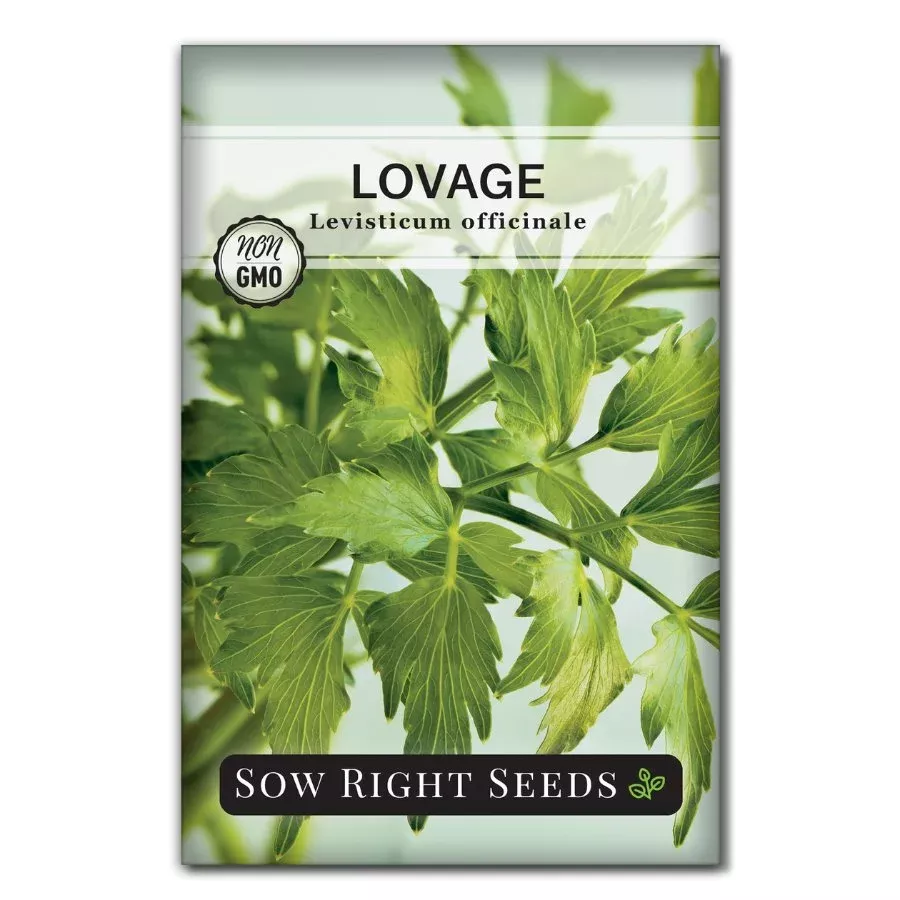 lovage Lovage