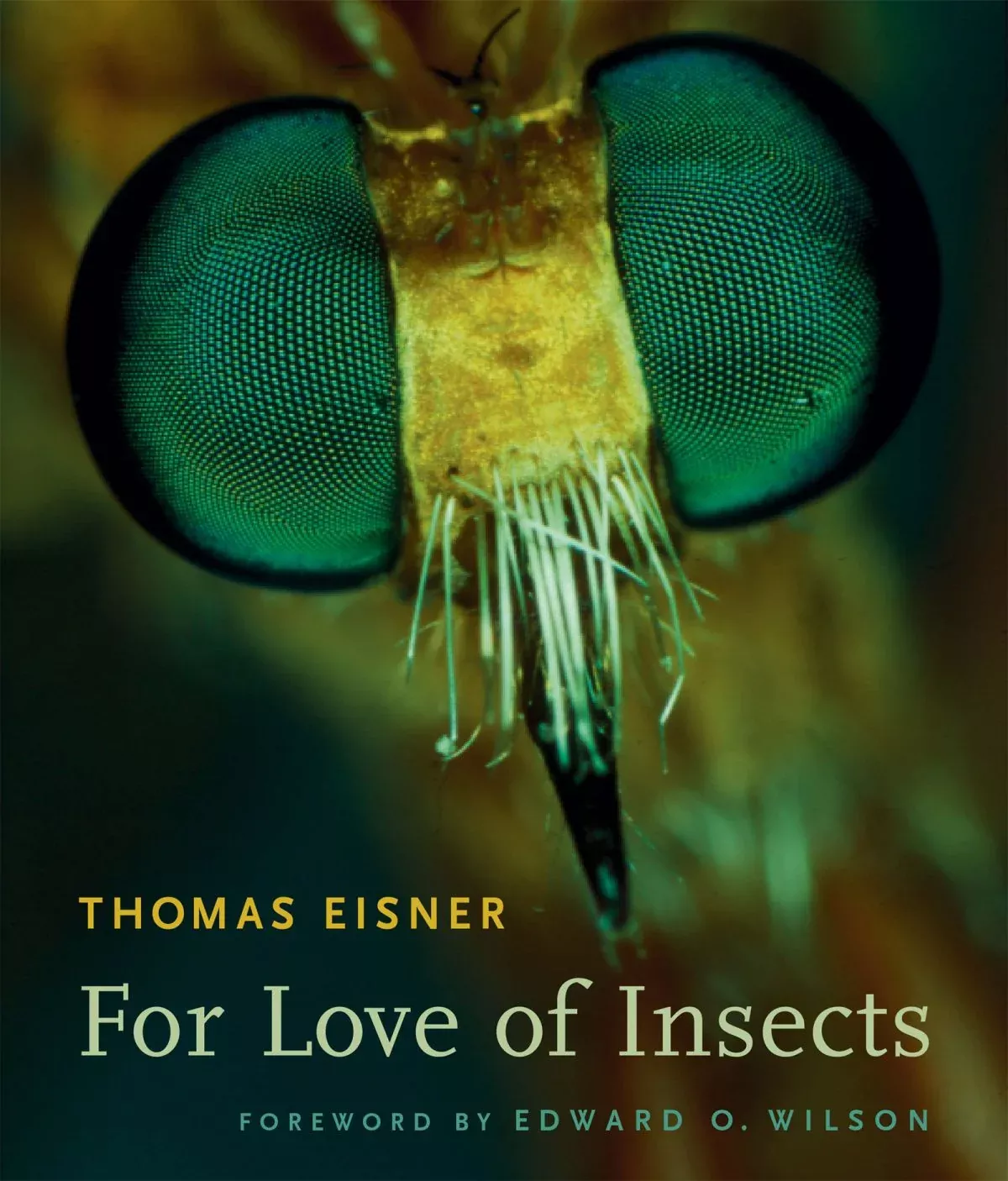 love-insects For Love of Insects