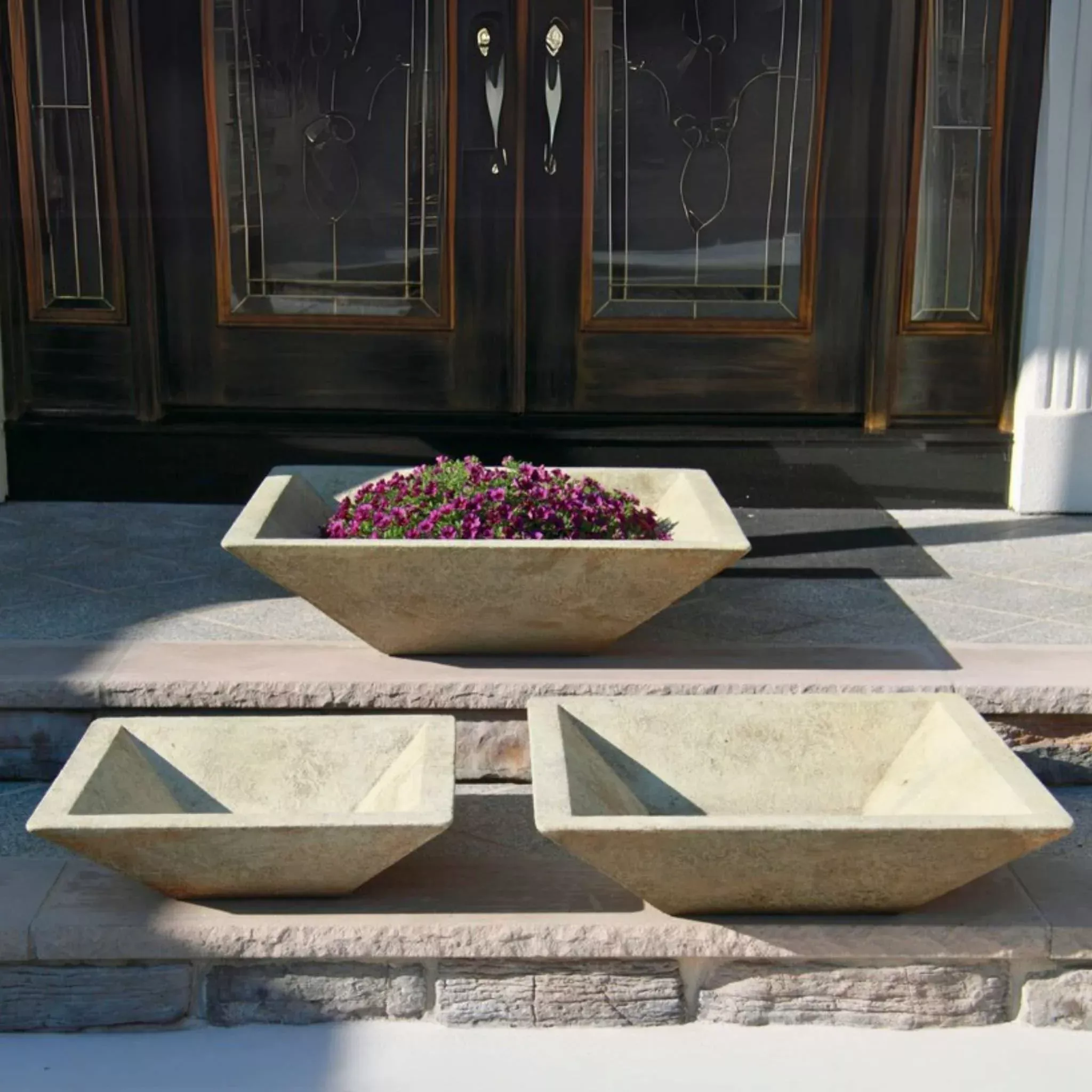 low-square-bowl-concrete-planters-massarellis Low Square Bowl Concrete Planters - Massarellis