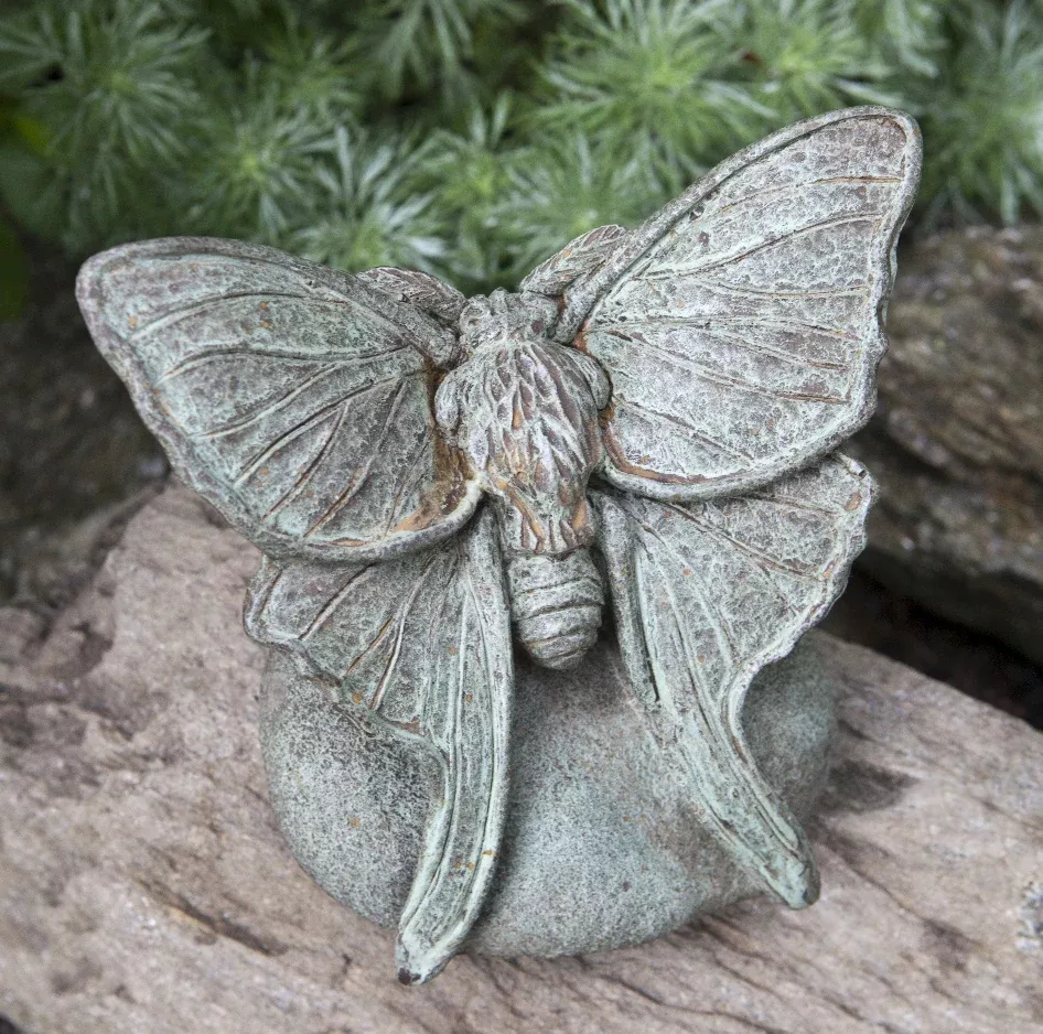 lunar-moth-by-campania-international Lunar Moth by Campania International