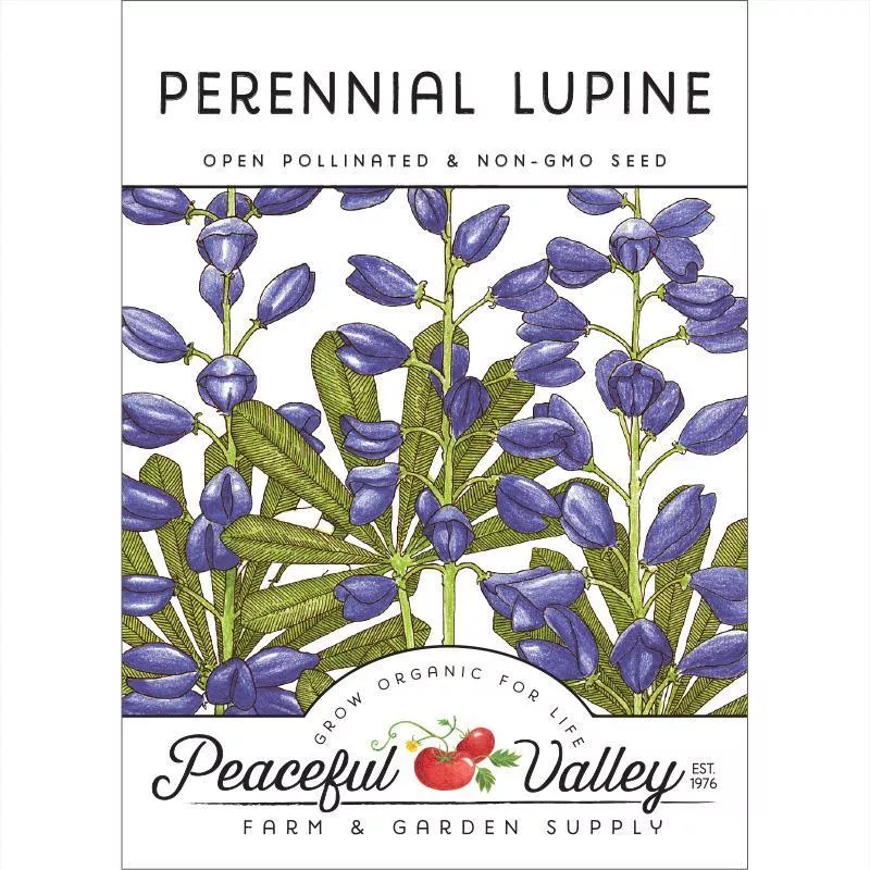 lupine-perennial-pack Lupine, Perennial (pack)