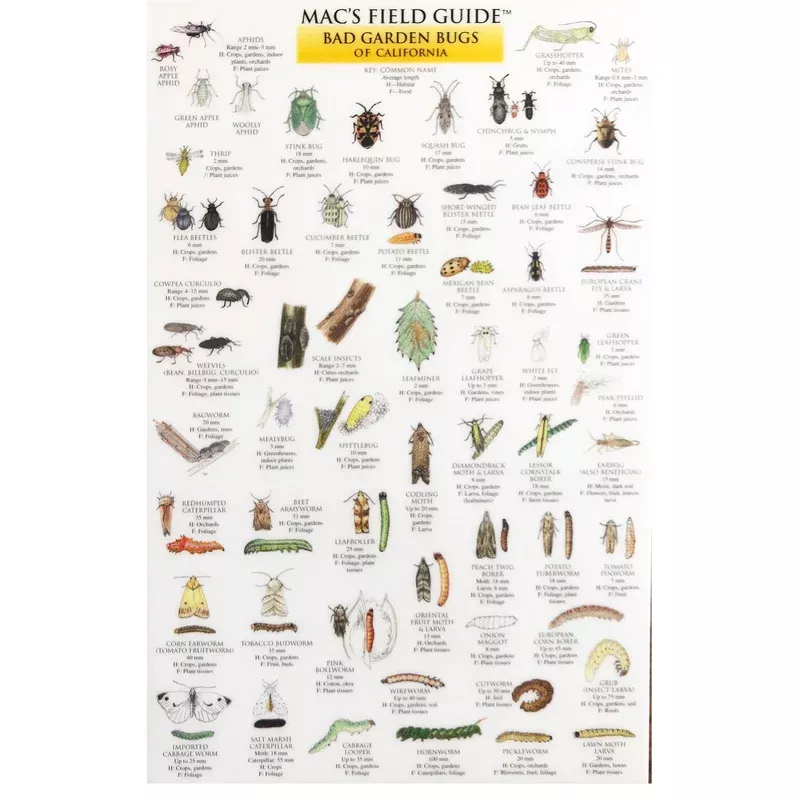 Mac's Field Guide