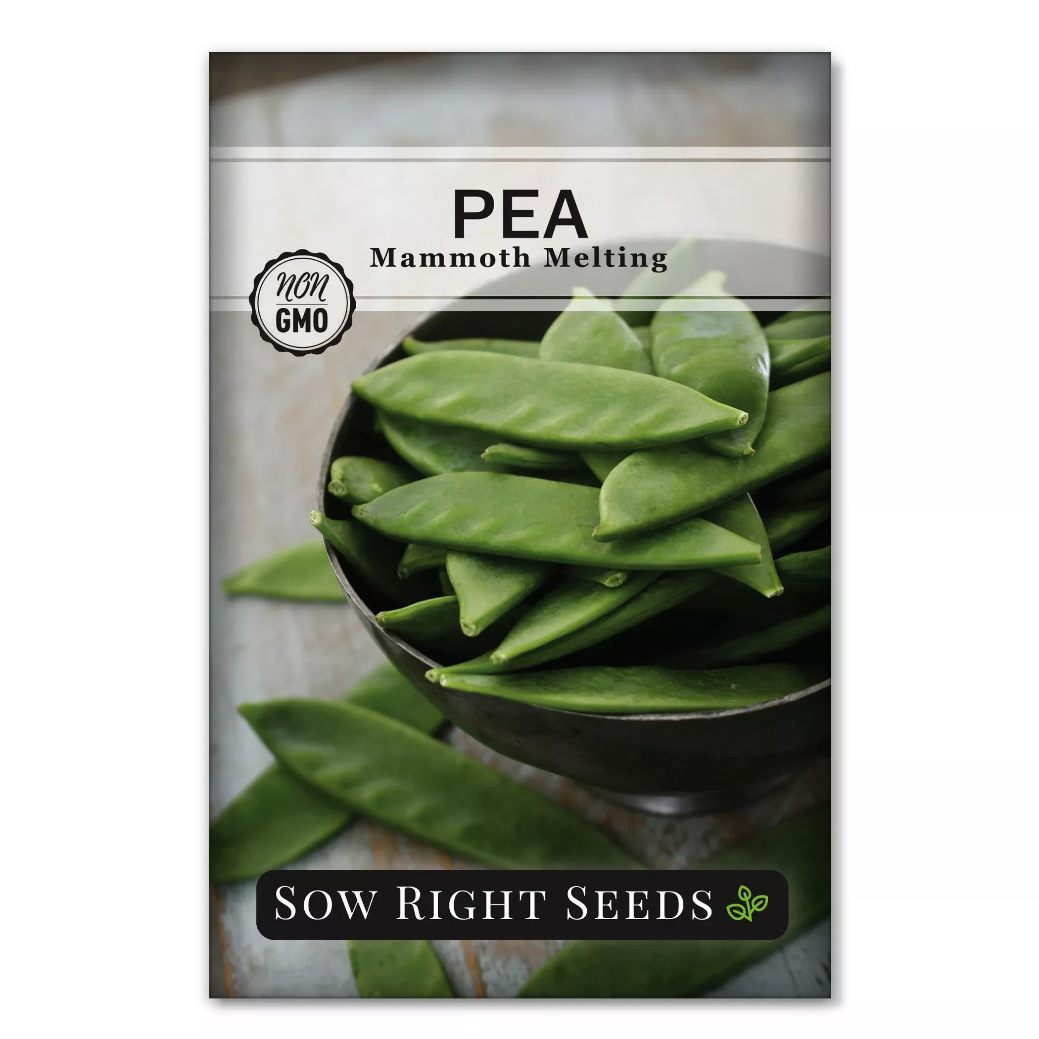 mammoth-melting-pea Mammoth Melting Pea