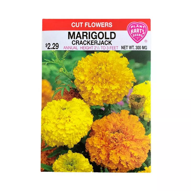 Marigold: Crackerjack