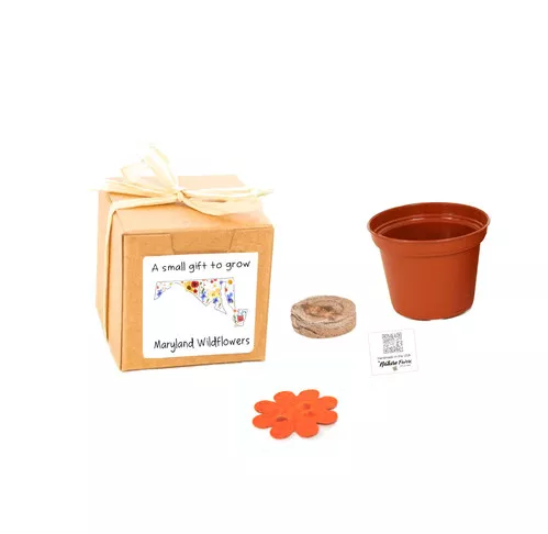 maryland-gift-box-grow-kits-wildflower-seeds-by-nature-favors Maryland Gift Box Grow Kits™ Wildflower Seeds by Nature Favors™