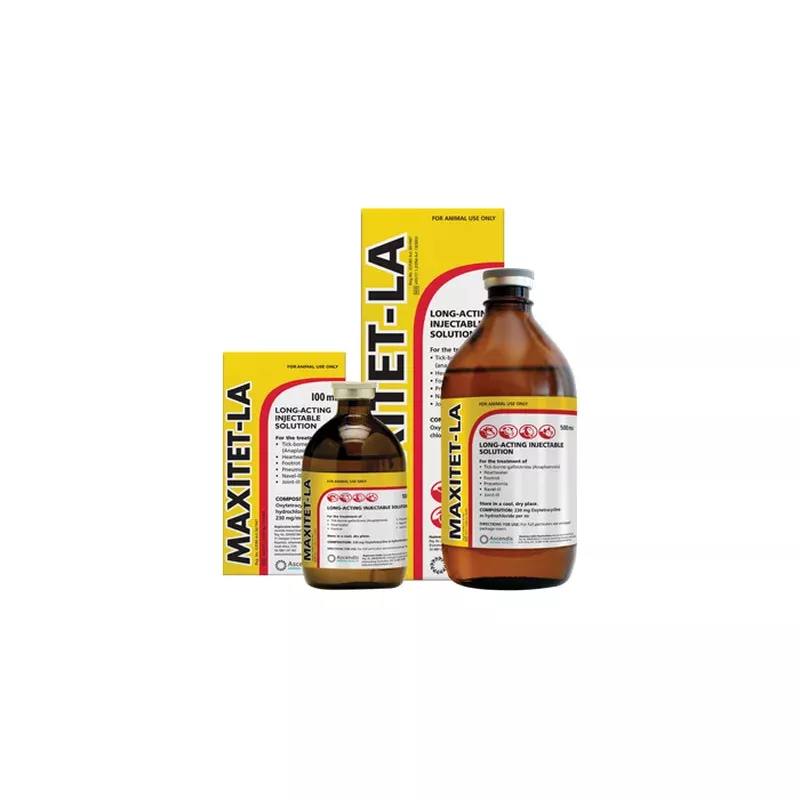 maxitet-la-prices-from Maxitet-LA (Prices from)