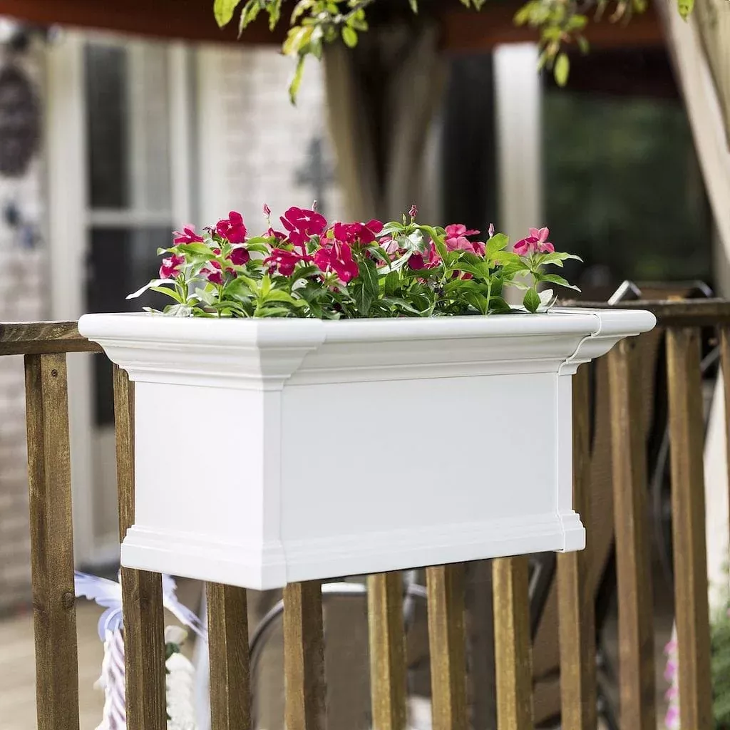 mayne-yorkshire-2ft-window-box Mayne Yorkshire 2ft Window Box