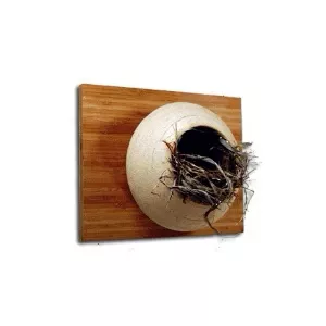 Meadow Nest Box