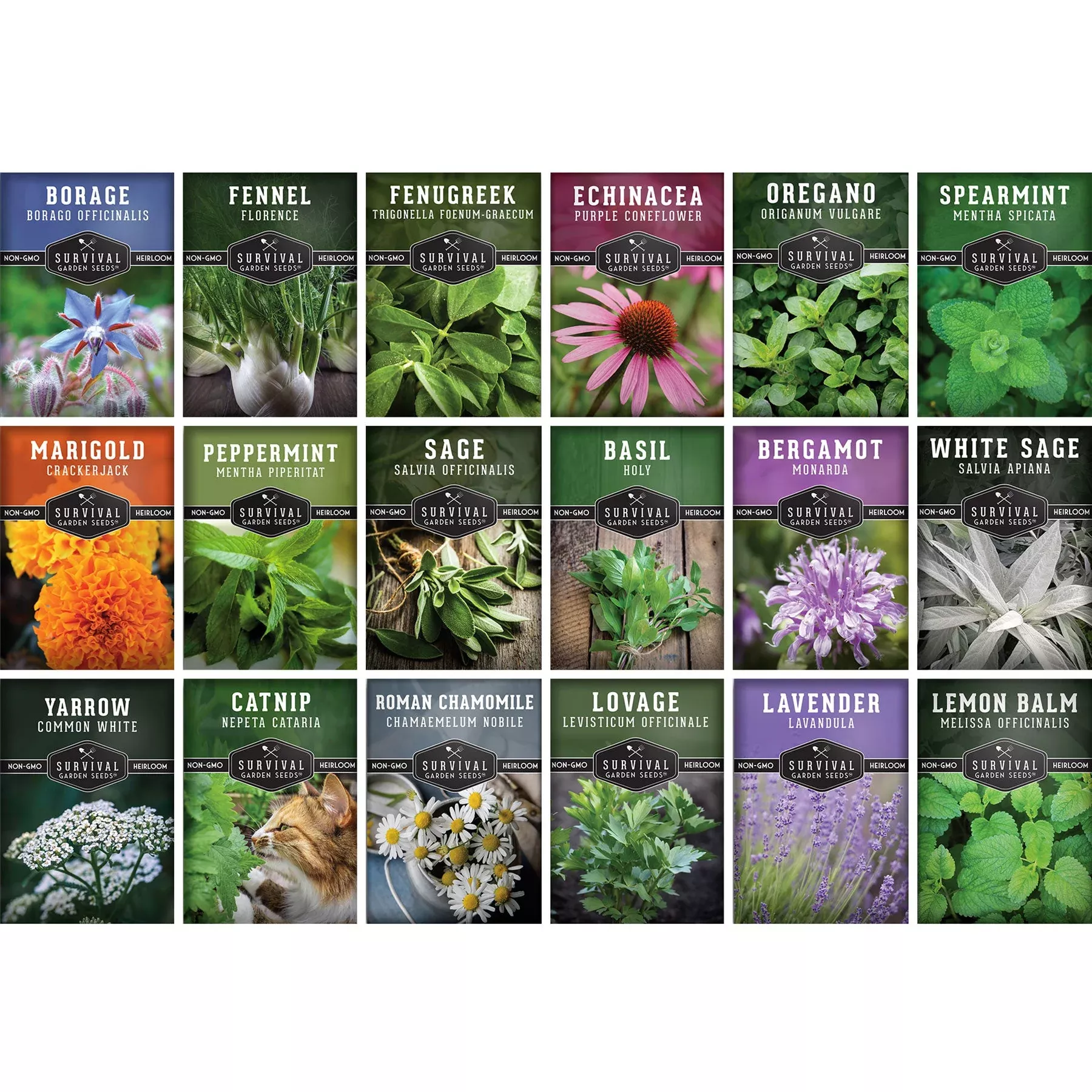 medicinal-herb-collection-18-medicinal-herbs Medicinal Herb Collection - 18 Medicinal Herbs