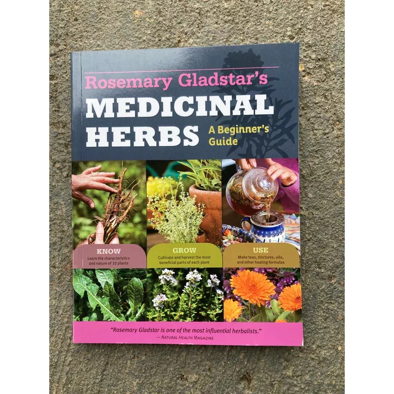 medicinal-herbs-beginner-s-guide Medicinal Herbs: A Beginner's Guide