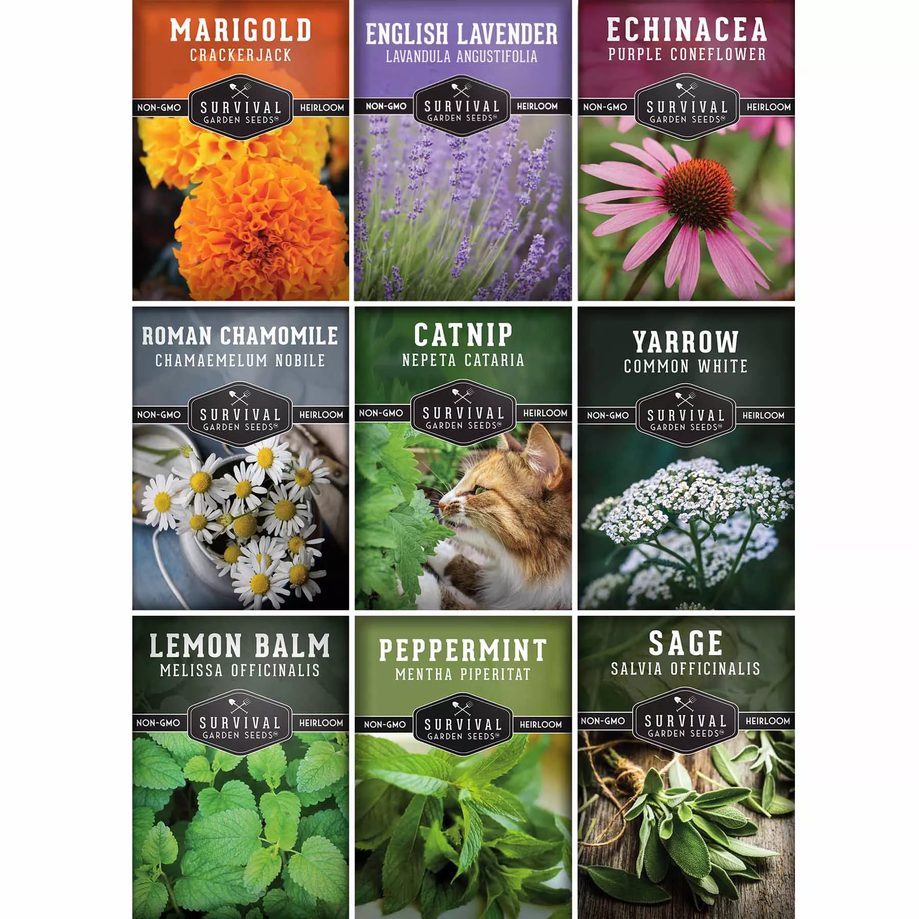 medicinal-tea-herb-seeds-collection-9-heirloom-non-gmo-herbs-calming-teas-wellne Medicinal Tea Herb Seeds Collection – 9 Heirloom Non-GMO Herbs for Calming Teas, Wellness & Home Apothecary Gardens (Chamomile, Lavender, Peppermint, Sage & More)