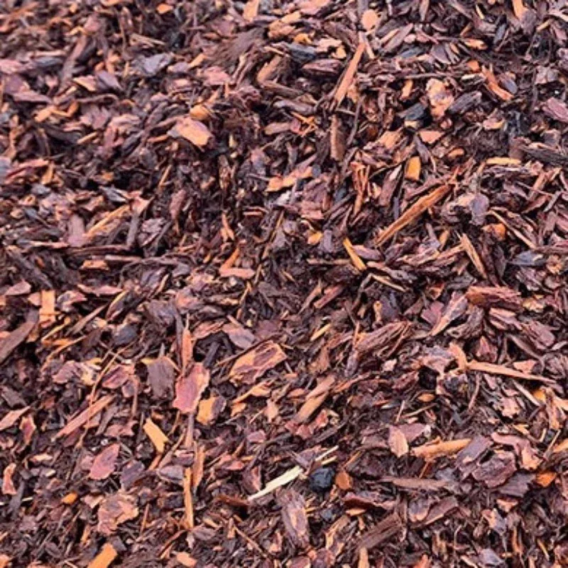medium-fresh-fir-bulk Medium Fresh Fir (BULK)