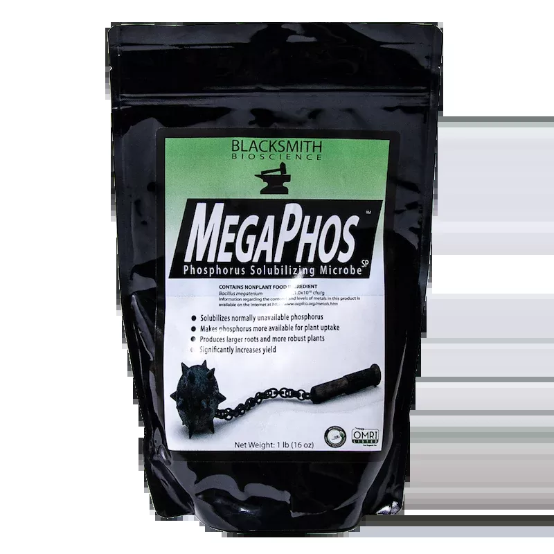 MegaPhos - Beneficial Bacteria for Phosphorus Availability