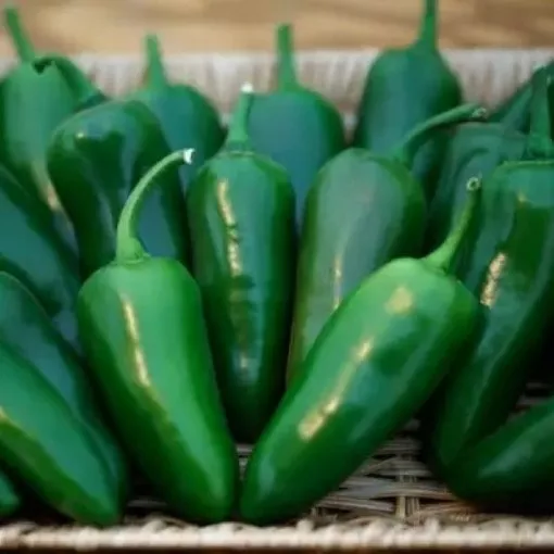 megatron-pepper-seeds Megatron Pepper Seeds