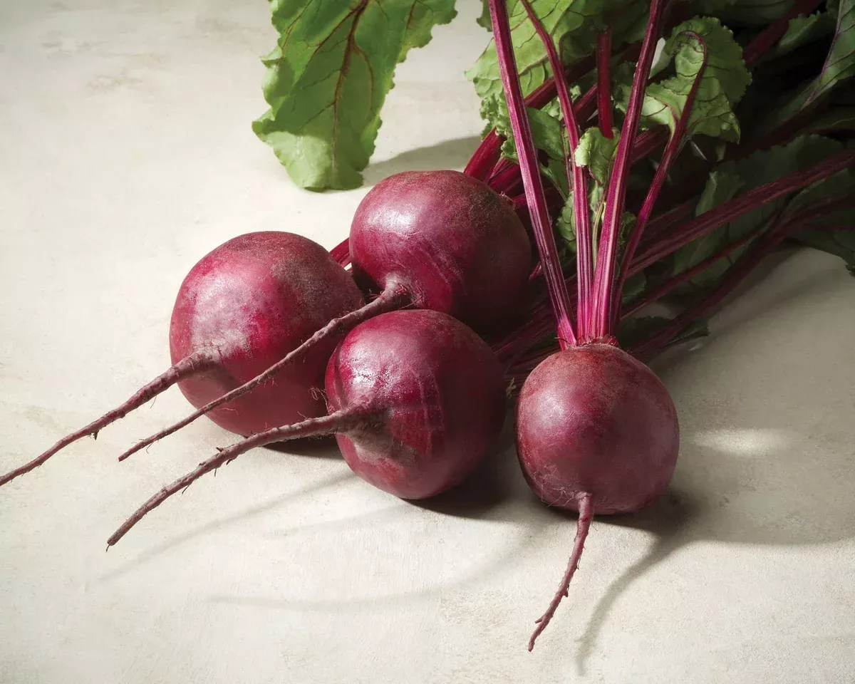 merlin-hybrid-beet-seeds Merlin Hybrid Beet Seeds