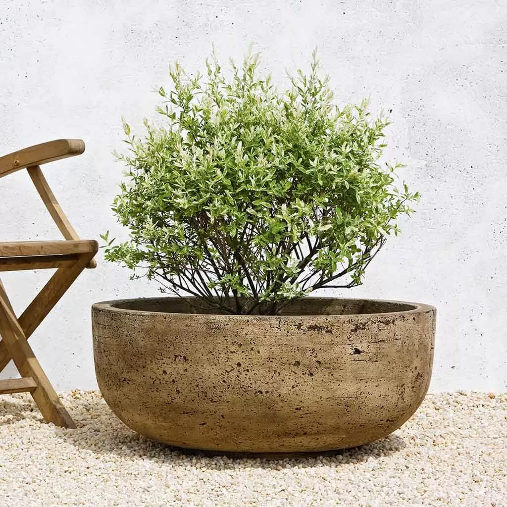 Mesa Planter - Large By Campania International