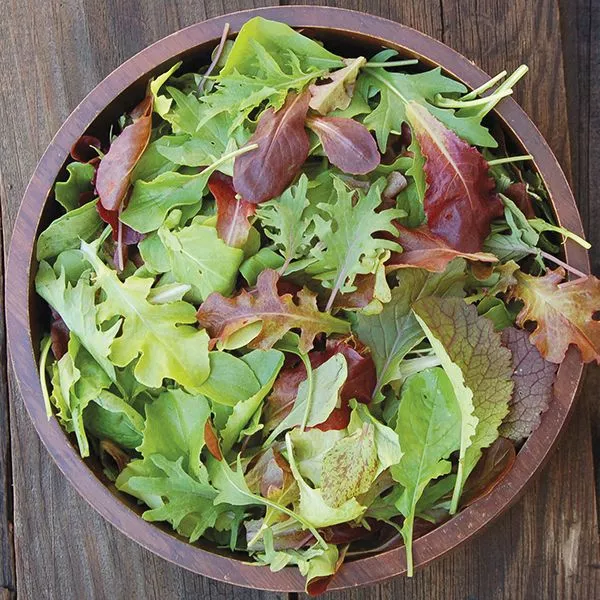 Mesclun Mix Lettuce (Spring Mix)