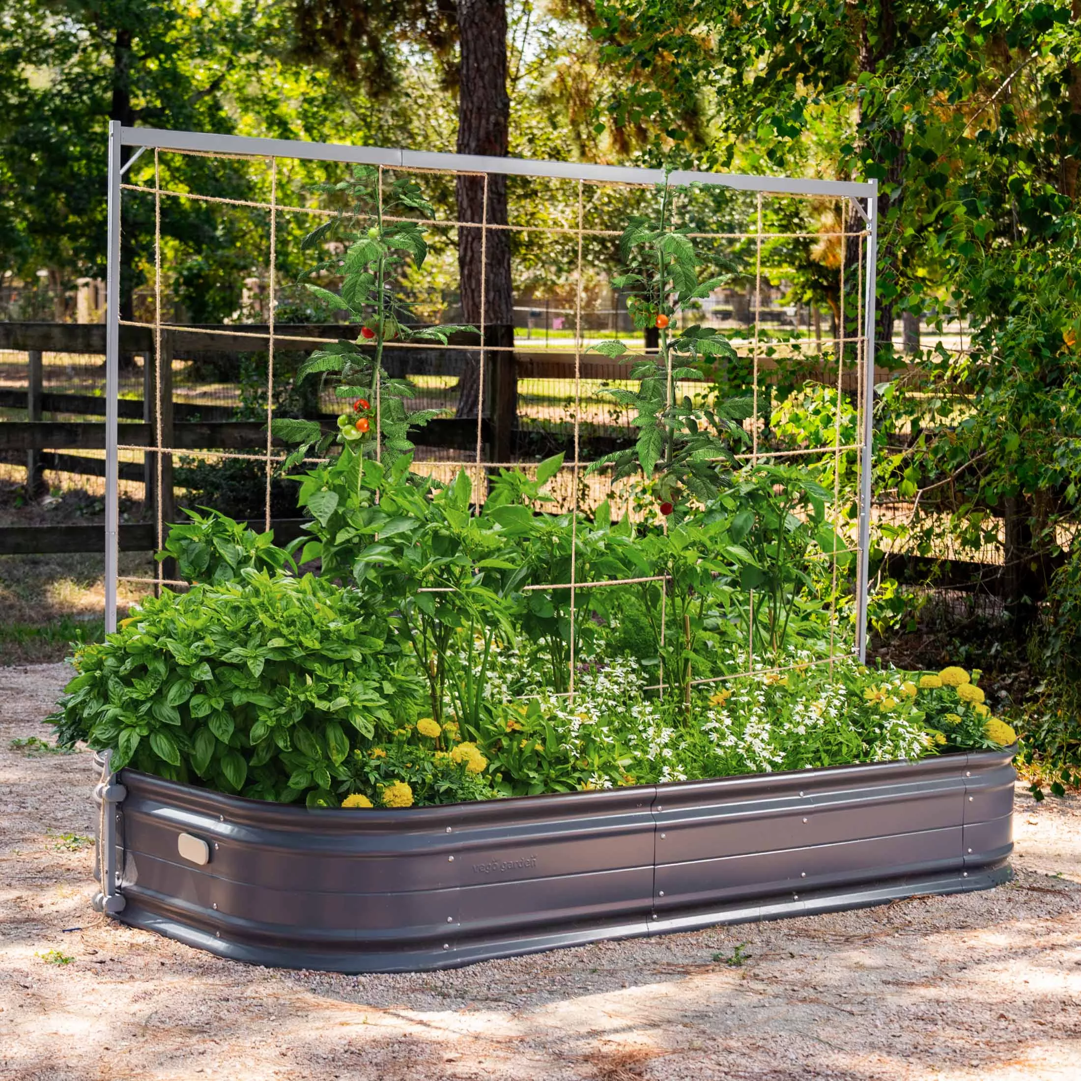 metal-frame-string-trellis Metal Frame String Trellis