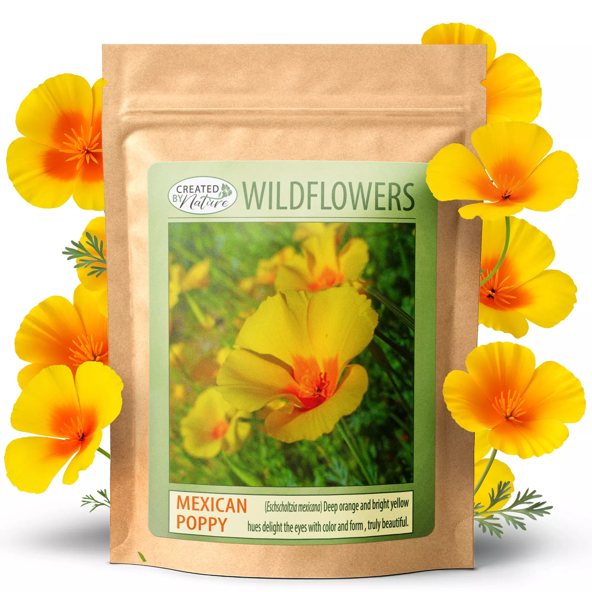Mexican Poppy Wildflower Seeds