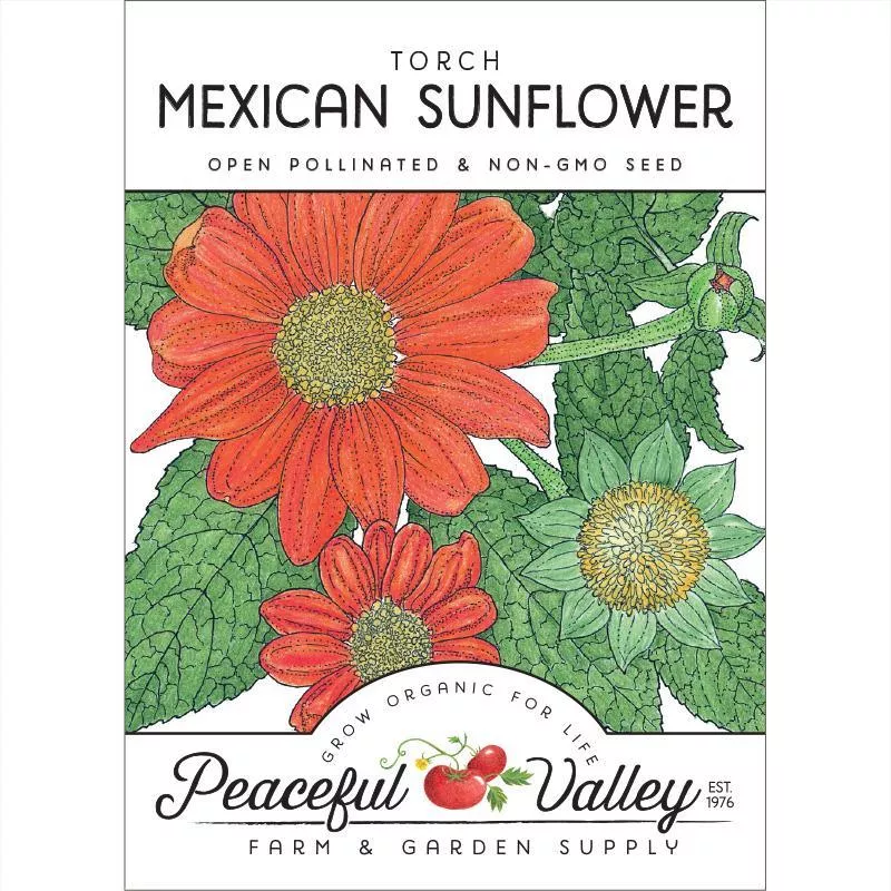 mexican-sunflower-pack Mexican Sunflower (pack)