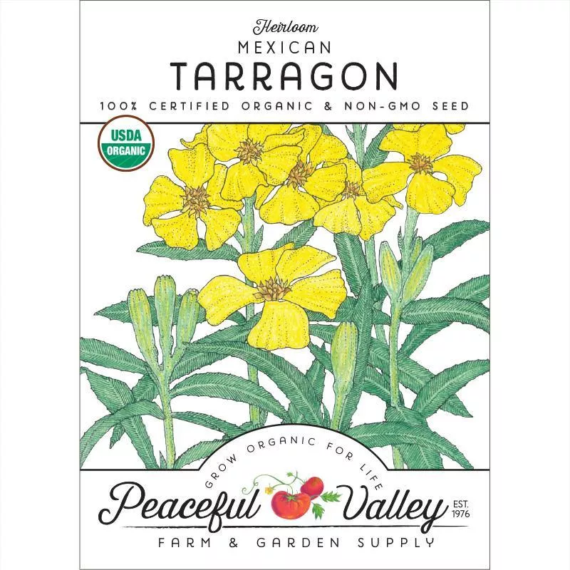 Mexican Tarragon Seeds (Organic)