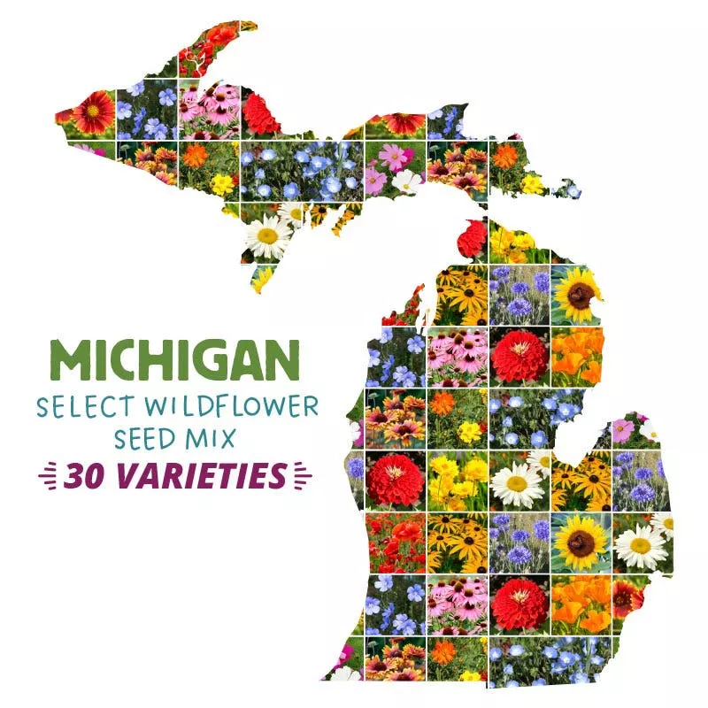 michigan-select-wildflower-seed-mix Michigan Select Wildflower Seed Mix