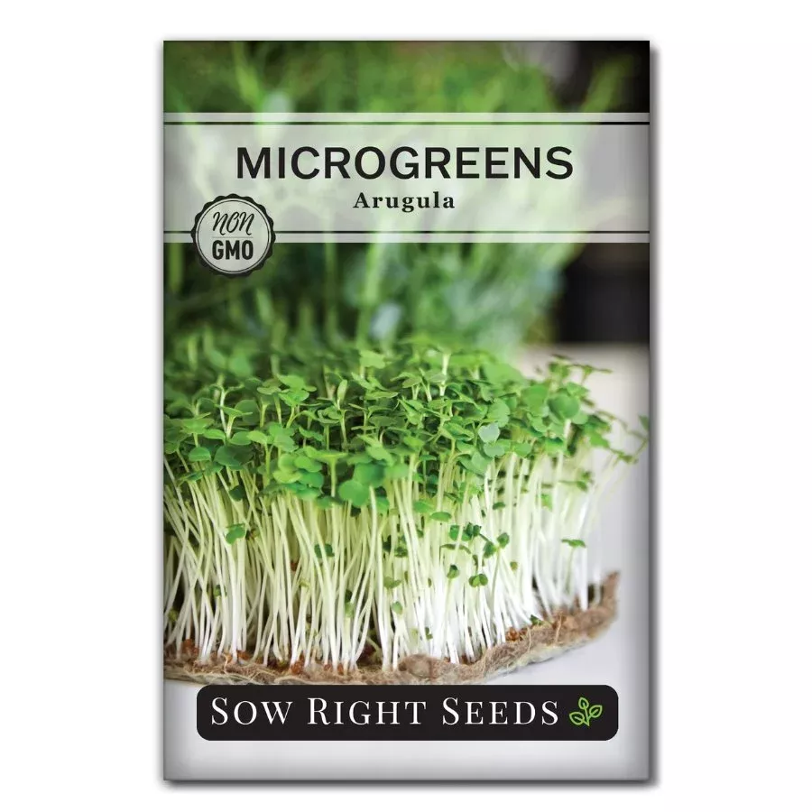 microgreens-arugula Microgreens Arugula