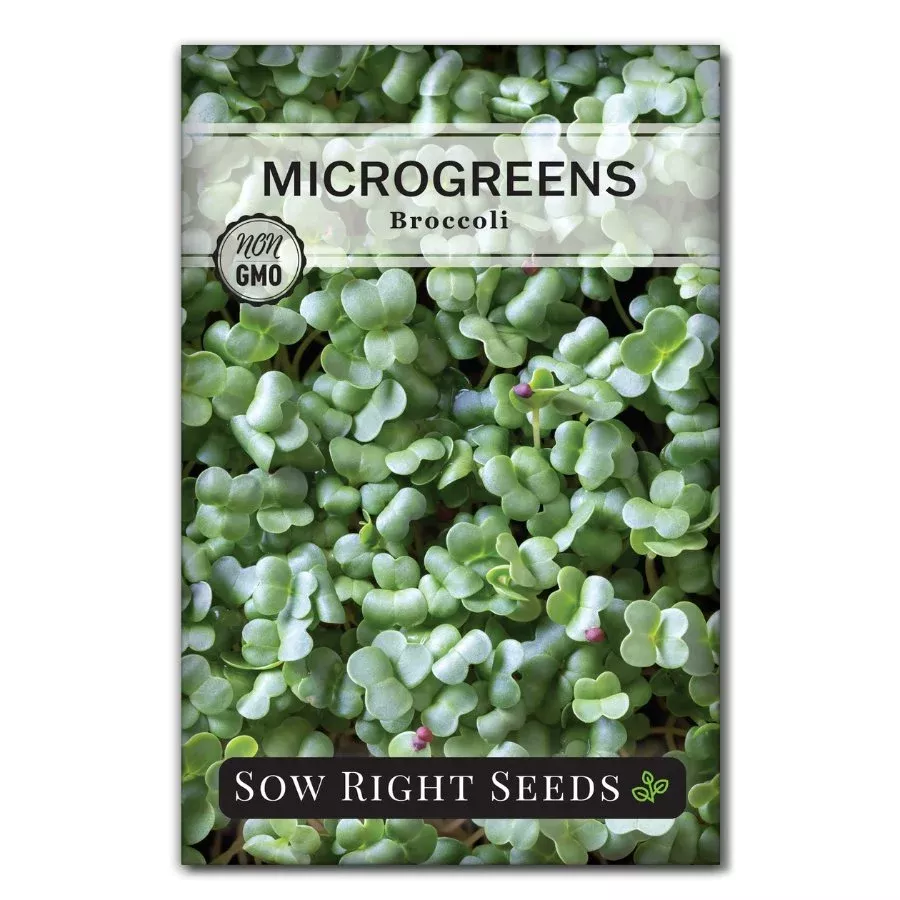 microgreens-broccoli Microgreens Broccoli
