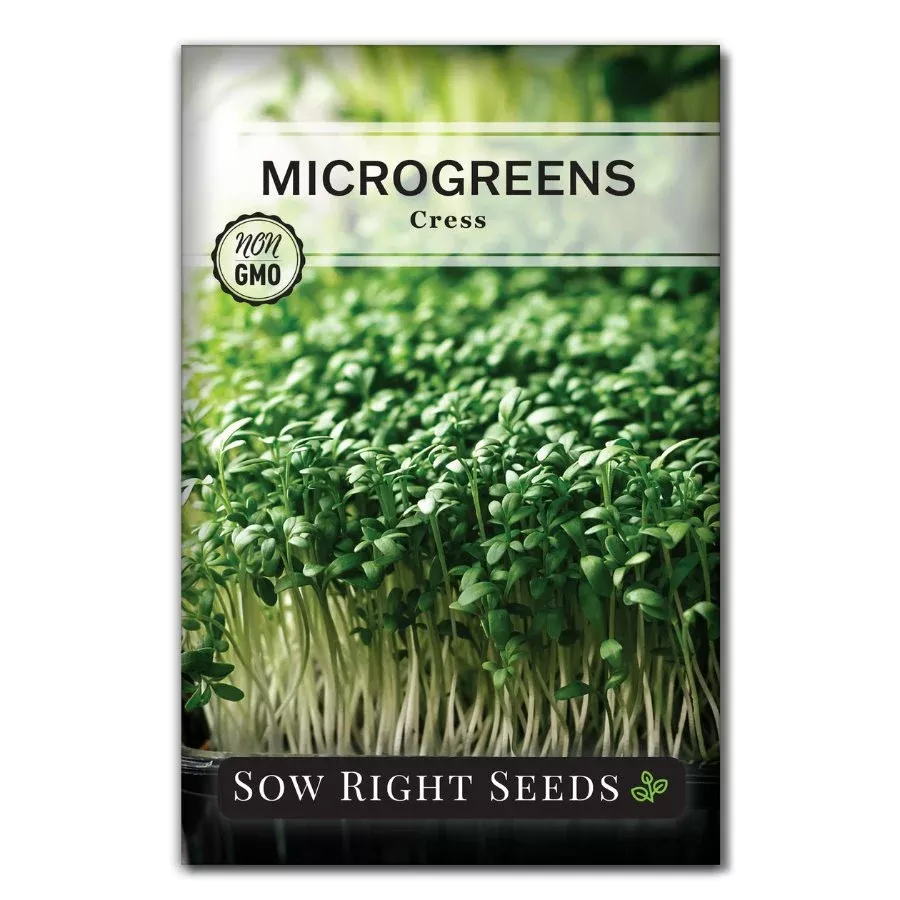 microgreens-cress Microgreens Cress