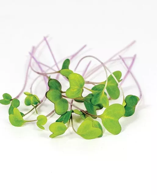 microgreens-kohlrabi Microgreens - Kohlrabi