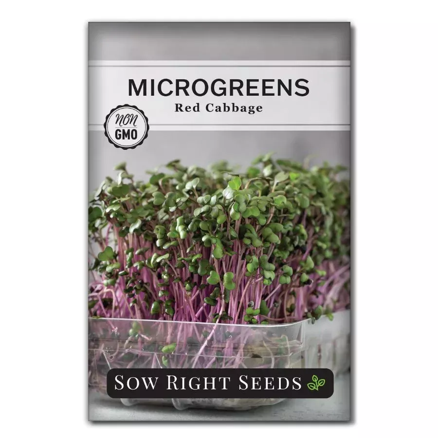 microgreens-red-cabbage Microgreens Red Cabbage