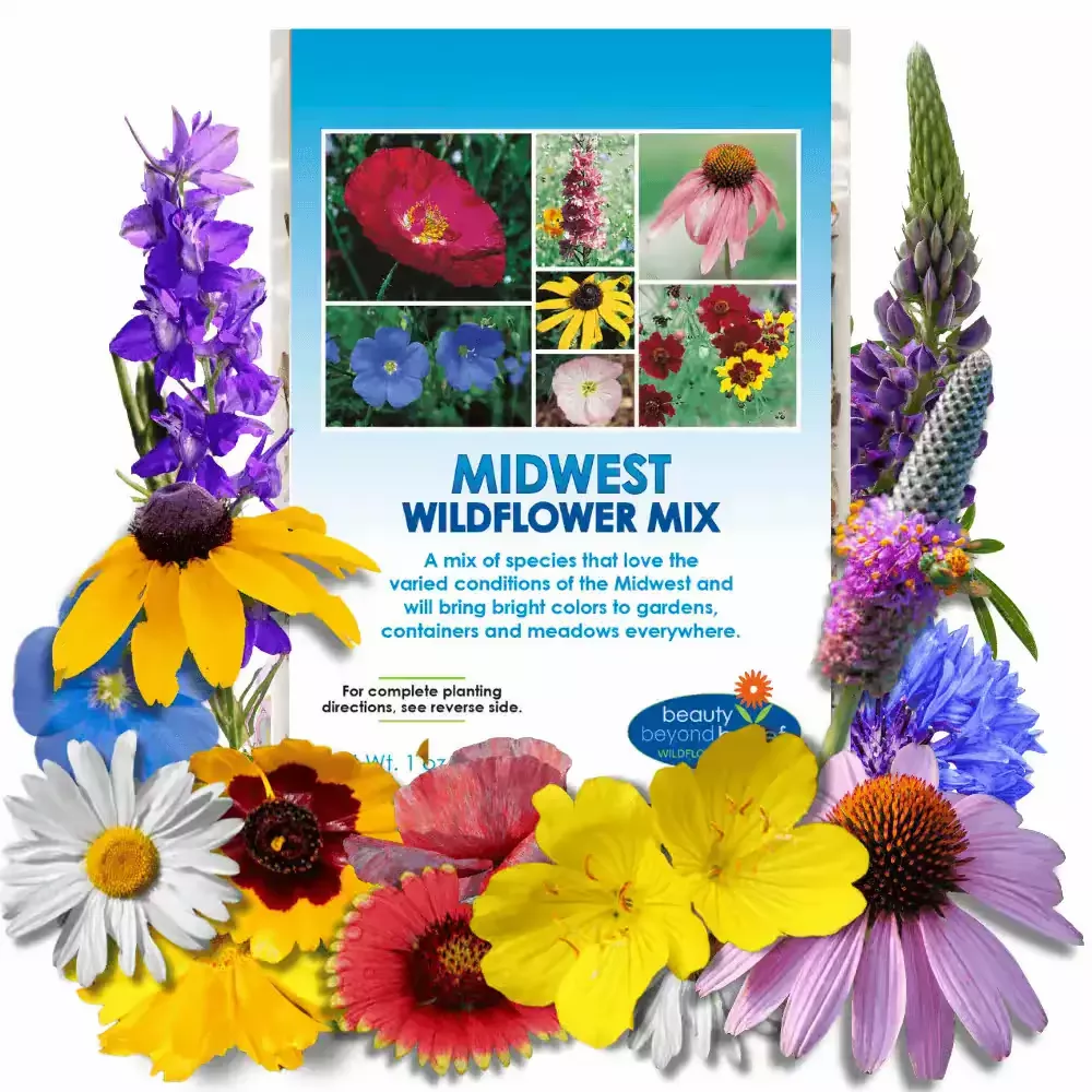 midwest-wildflower-mix Midwest Wildflower Mix