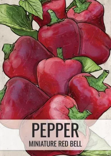 Miniature Red Bell Pepper Seeds For Planting (Capsicum annuum)