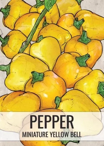 Miniature Yellow Bell Pepper Seeds For Planting (Capsicum annuum)