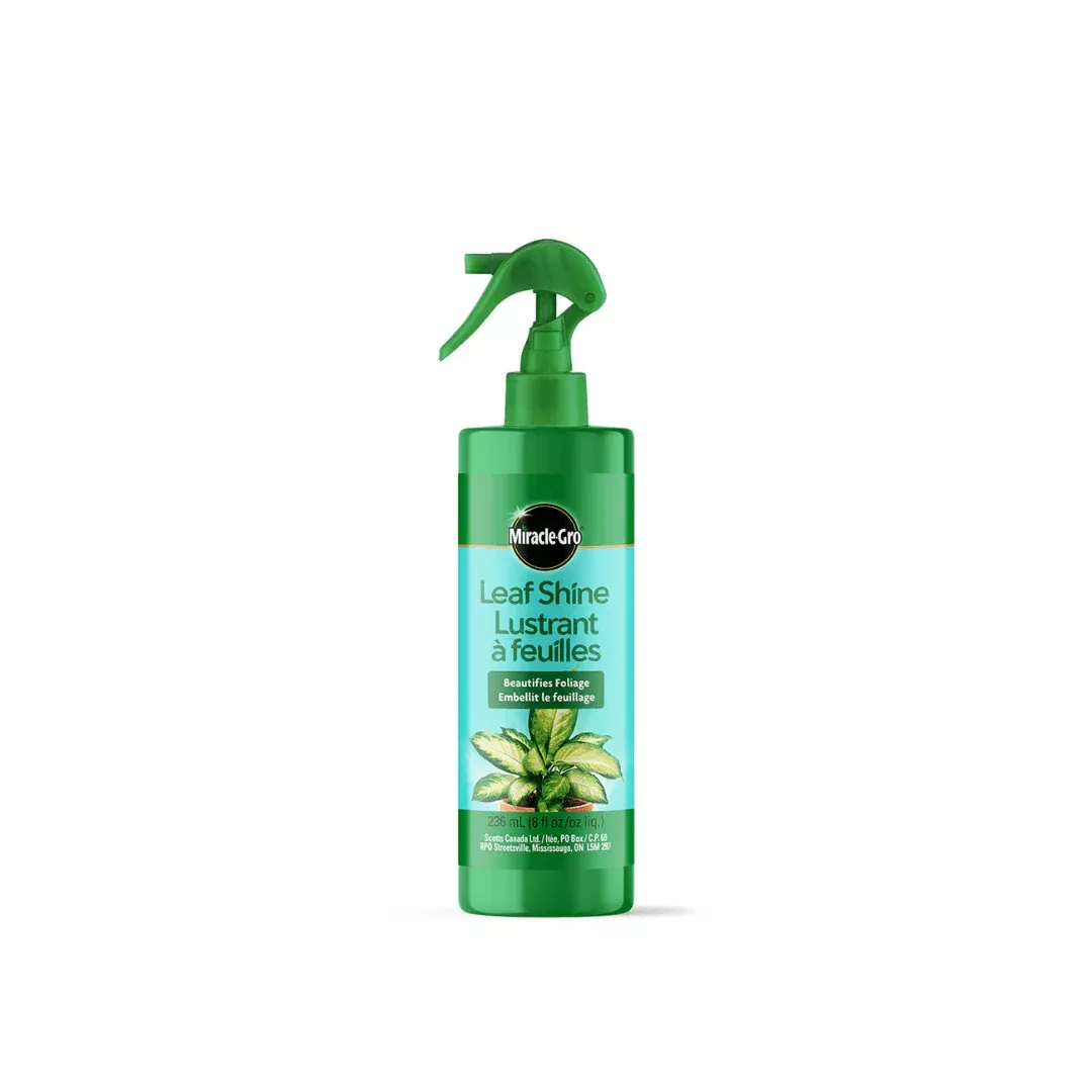 Miracle-Gro Leaf Shine 236ml | 8oz