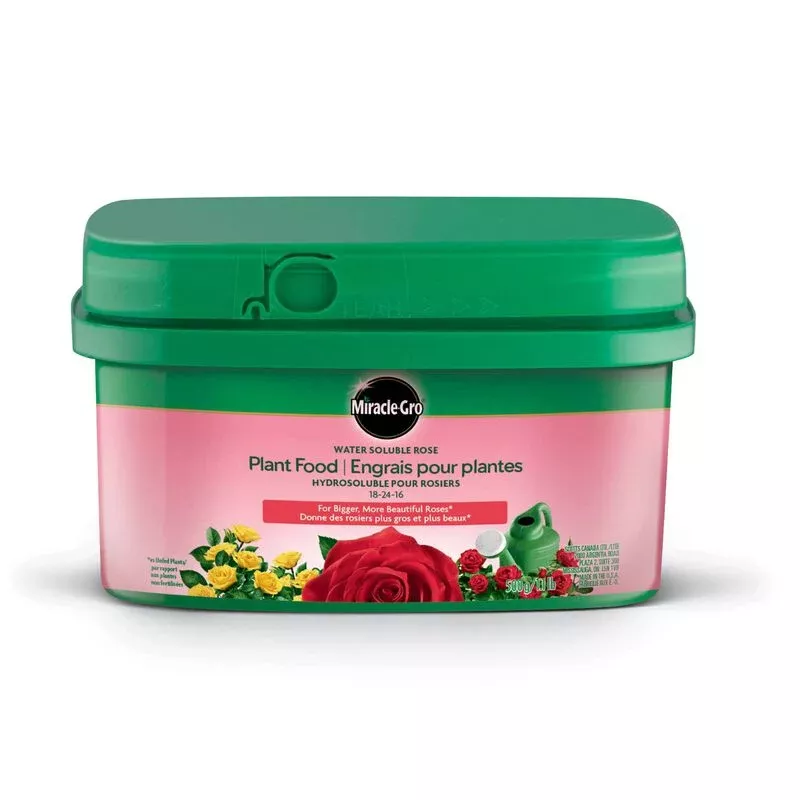 Miracle-Gro Rose (Water Soluble)