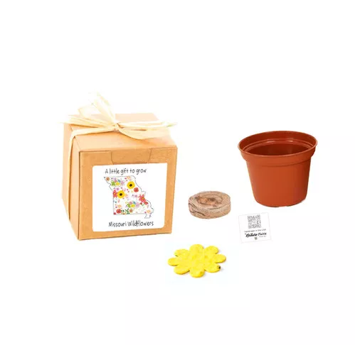 missouri-gift-box-grow-kits-wildflower-seeds-by-nature-favors Missouri Gift Box Grow Kits™ Wildflower Seeds by Nature Favors™