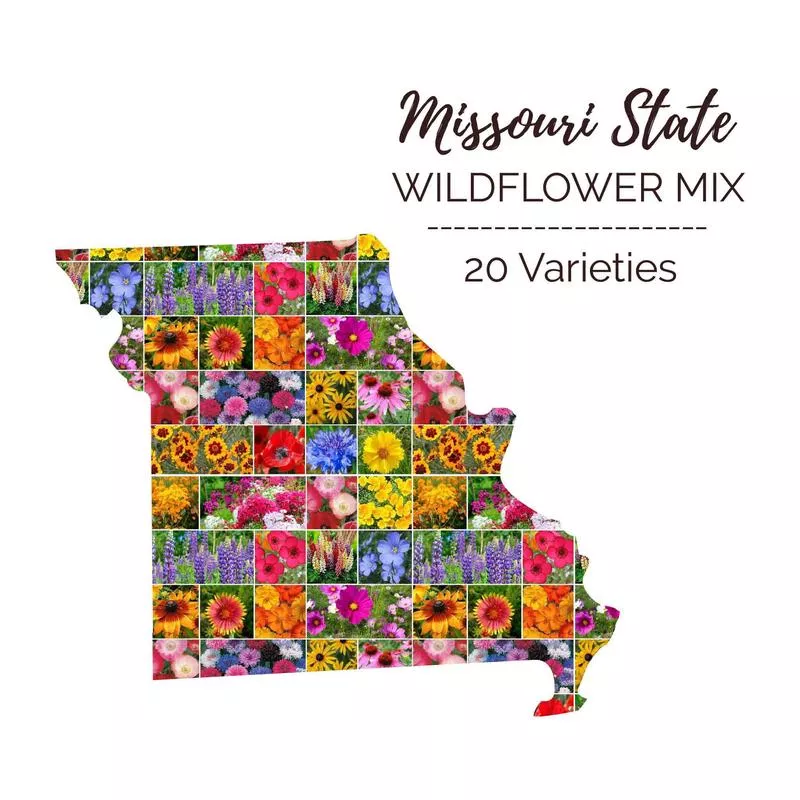missouri-wildflower-seed-mix Missouri Wildflower Seed Mix