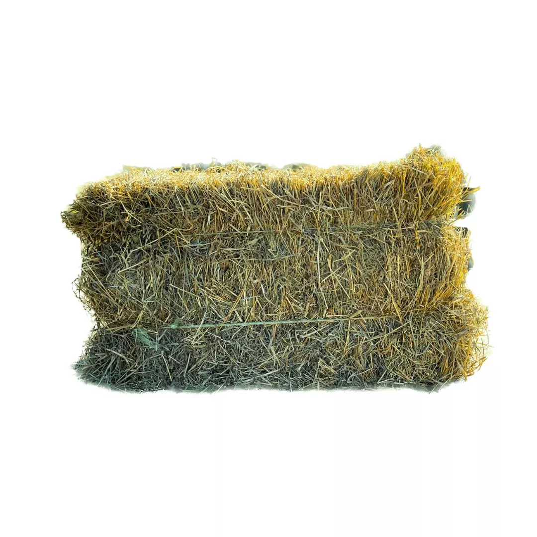 mixed-grass-hay-bale Mixed Grass Hay Bale