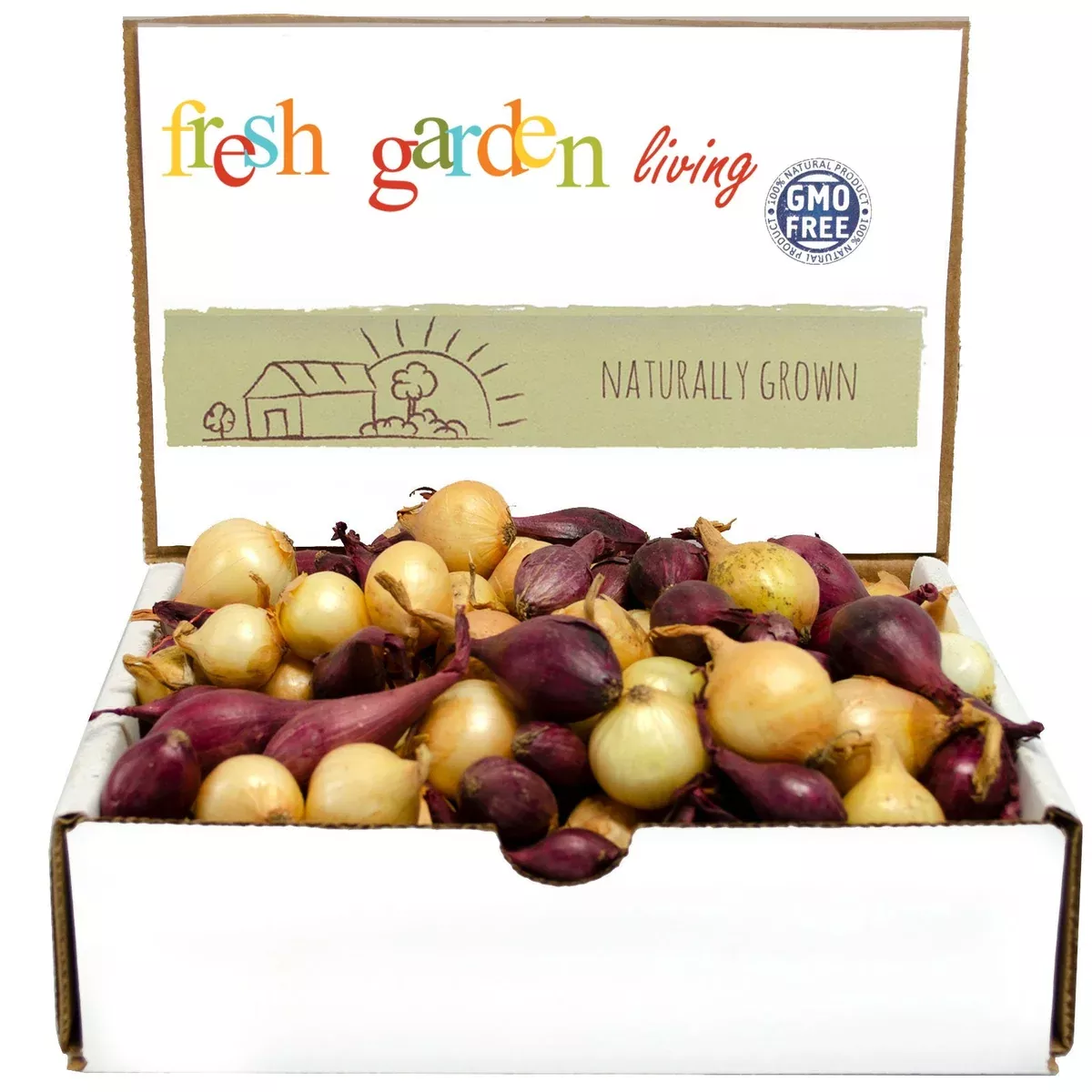 Mixed Red & Yellow Onion Sets 1 Lb. Non-GMO