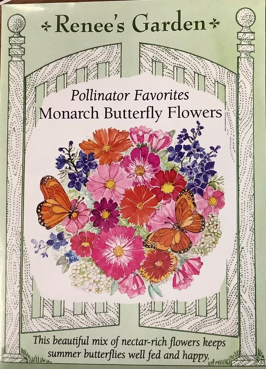 monarch-butterfly-mix Monarch Butterfly Mix