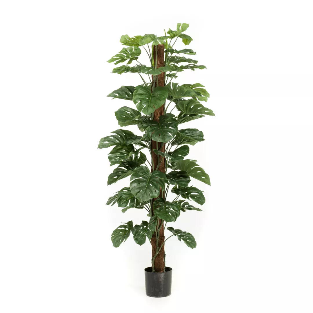 Monstera Deliciosa kunstplant – 180 cm