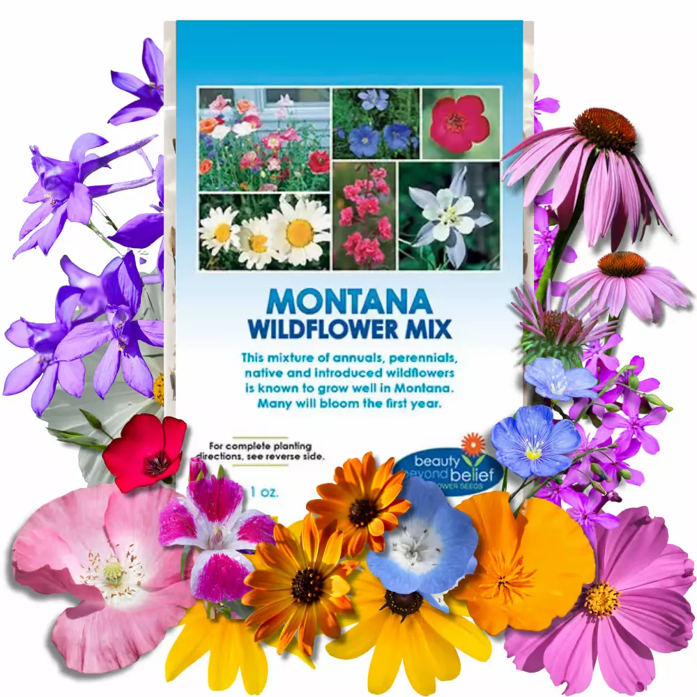 montana-wildflower-mix Montana Wildflower Mix