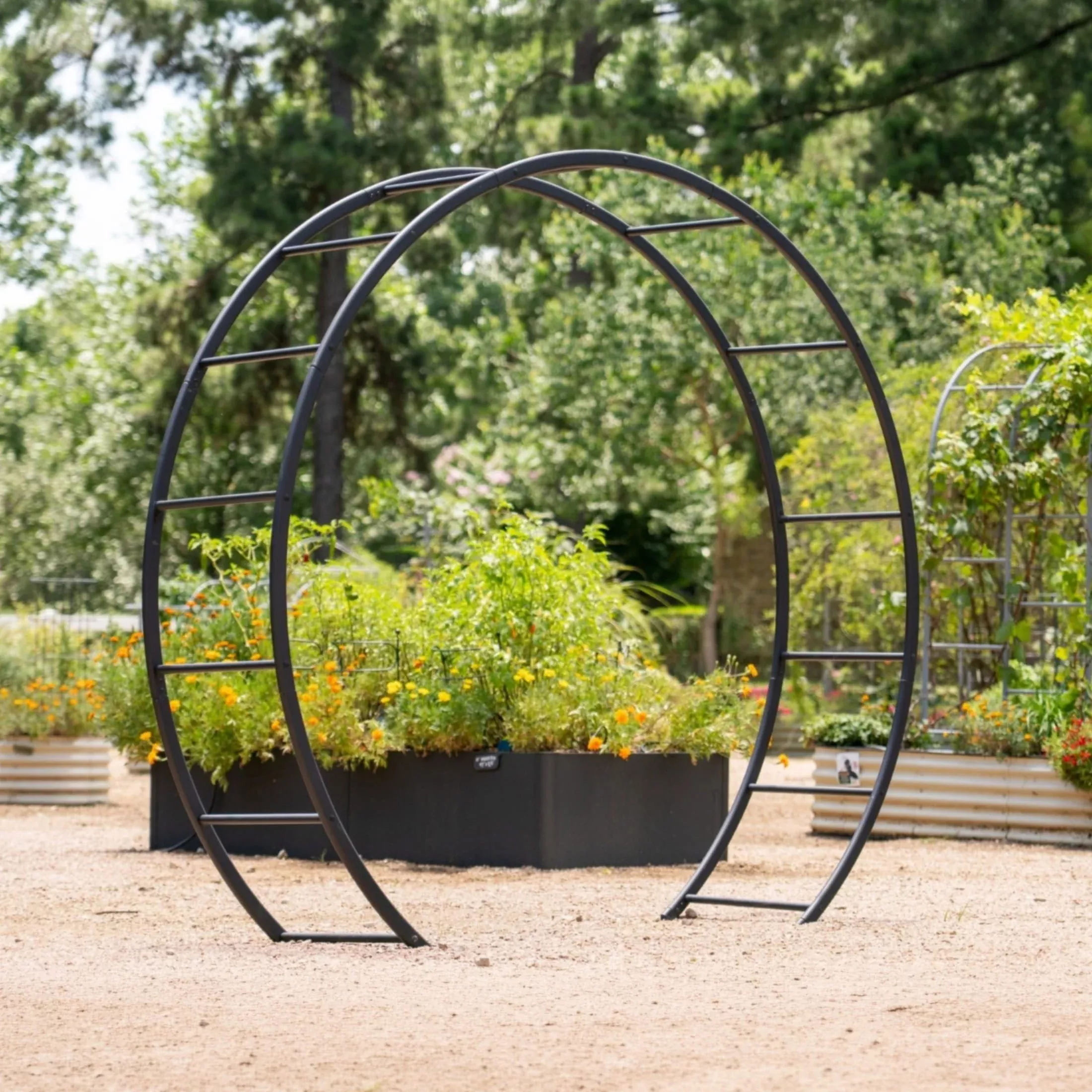 moon-gate Moon Gate