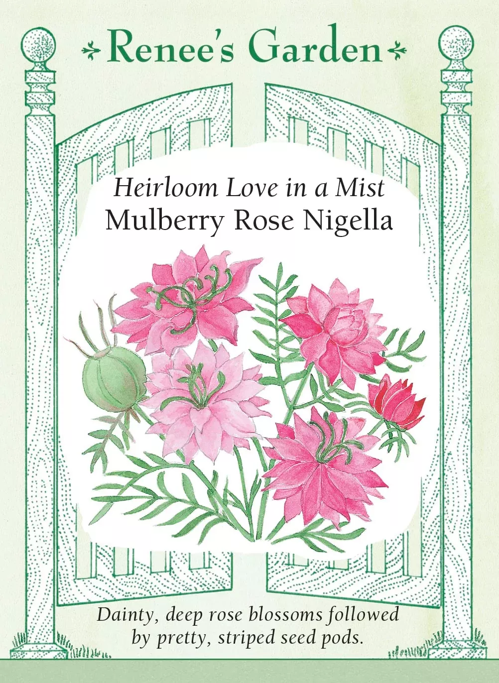 mulberry-rose-nigella Mulberry Rose Nigella